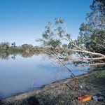 Darling River